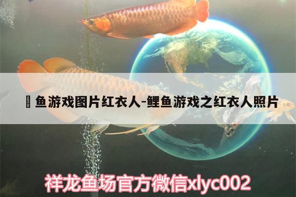 鲉鱼游戏图片红衣人:鲤鱼游戏之红衣人照片 鱼缸水泵