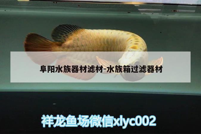 阜阳水族器材滤材:水族箱过滤器材 鱼缸/水族箱 第2张