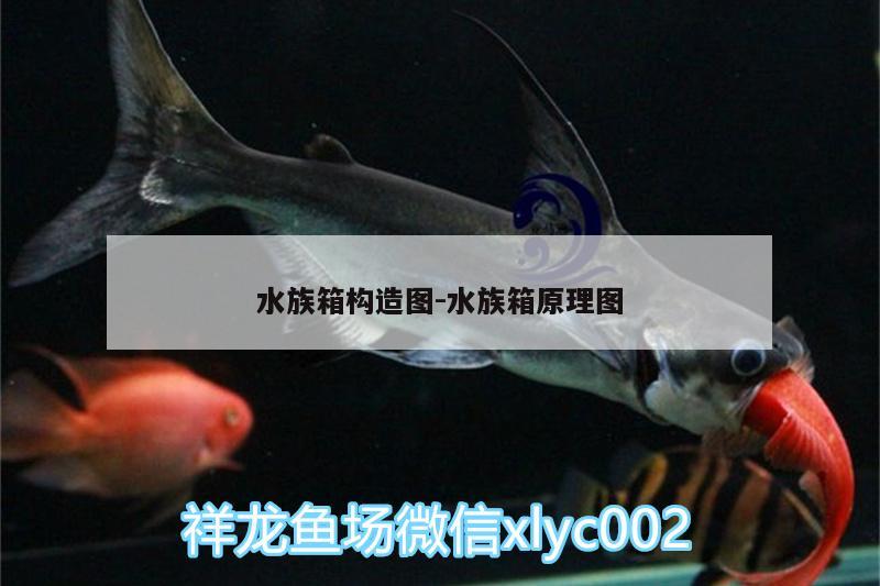 水族箱构造图:水族箱原理图 鱼缸/水族箱