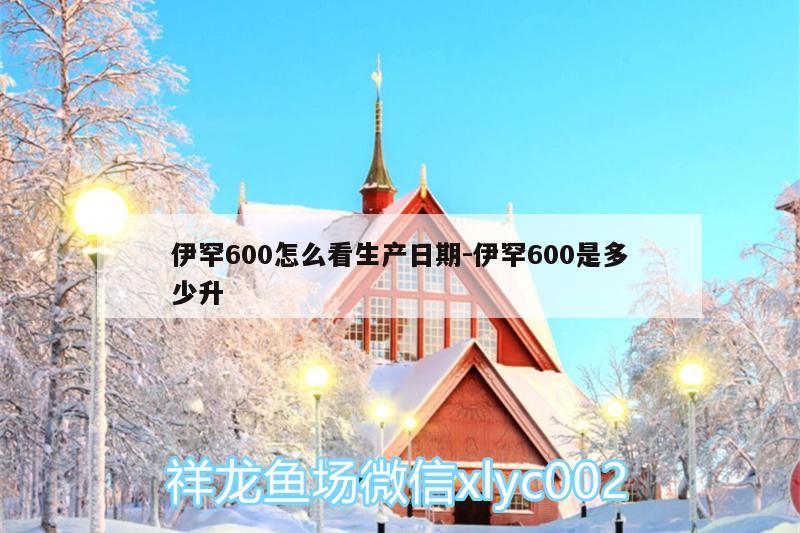 伊罕600怎么看生产日期:伊罕600是多少升