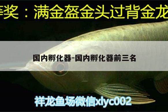 国内孵化器:国内孵化器前三名 孵化器