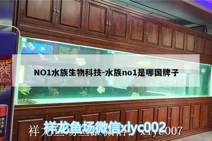 NO1水族生物科技:水族no1是哪国牌子