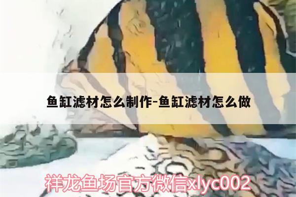 鱼缸滤材怎么制作:鱼缸滤材怎么做