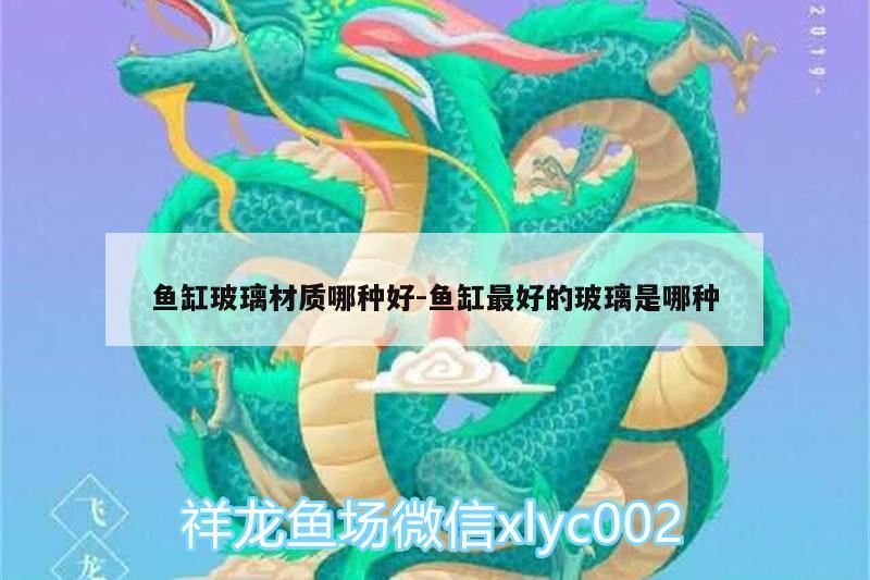 鱼缸玻璃材质哪种好:鱼缸最好的玻璃是哪种 祥龙水族护理水