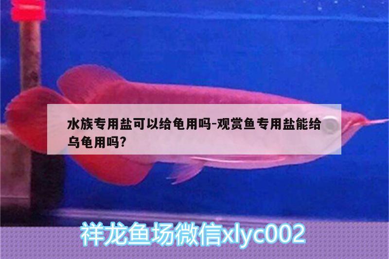 水族专用盐可以给龟用吗:观赏鱼专用盐能给乌龟用吗?