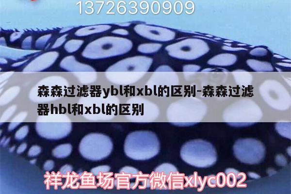 森森过滤器ybl和xbl的区别:森森过滤器hbl和xbl的区别