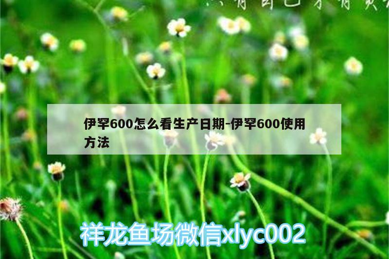 伊罕600怎么看生产日期:伊罕600使用方法