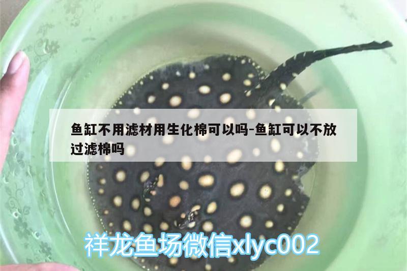 鱼缸不用滤材用生化棉可以吗:鱼缸可以不放过滤棉吗