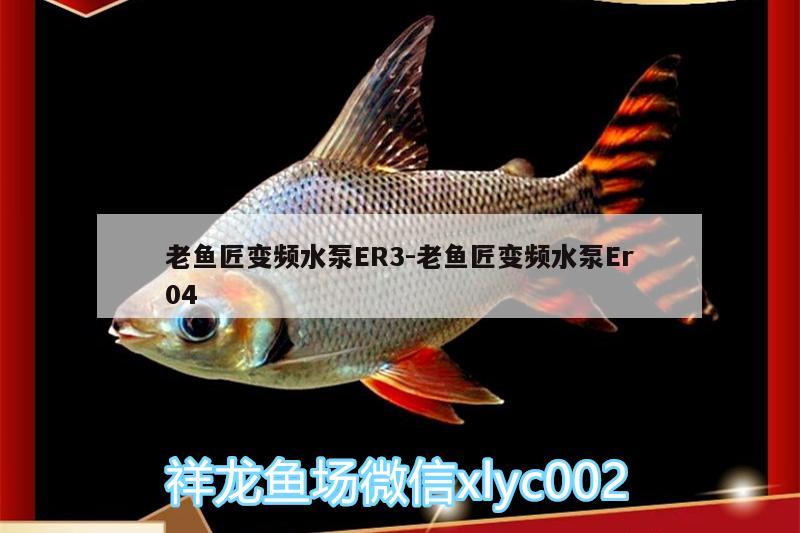 老鱼匠变频水泵ER3:老鱼匠变频水泵Er04 老鱼匠