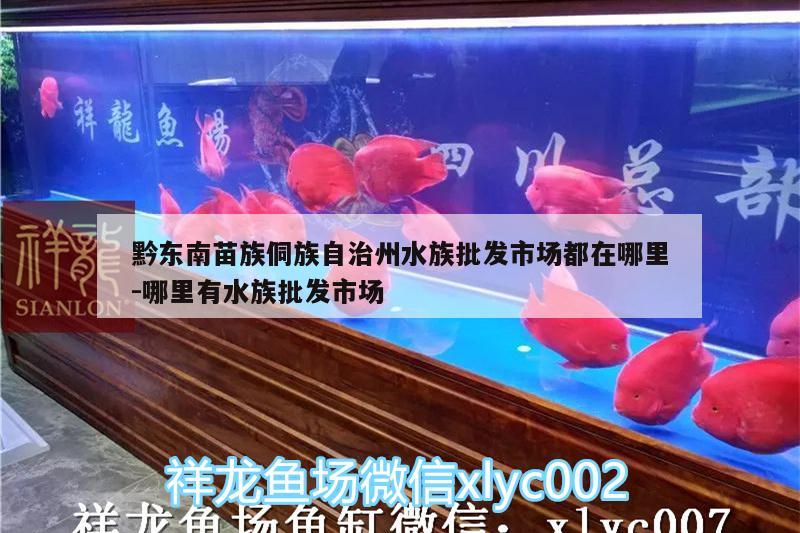 黔东南苗族侗族自治州水族批发市场都在哪里:哪里有水族批发市场 观赏鱼水族批发市场