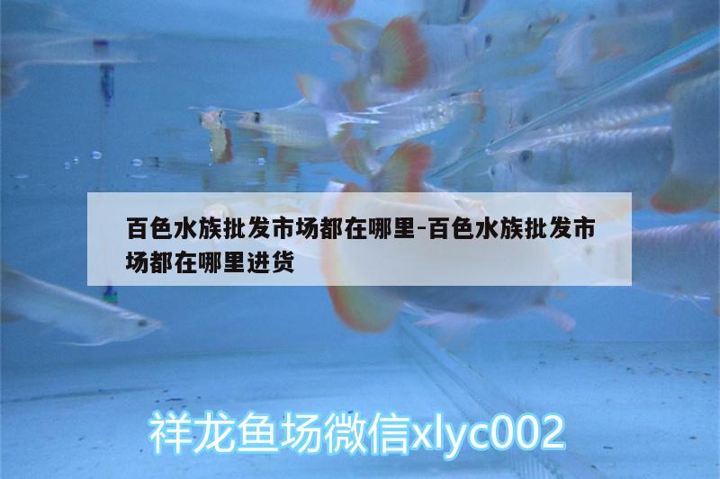 百色水族批发市场都在哪里:百色水族批发市场都在哪里进货