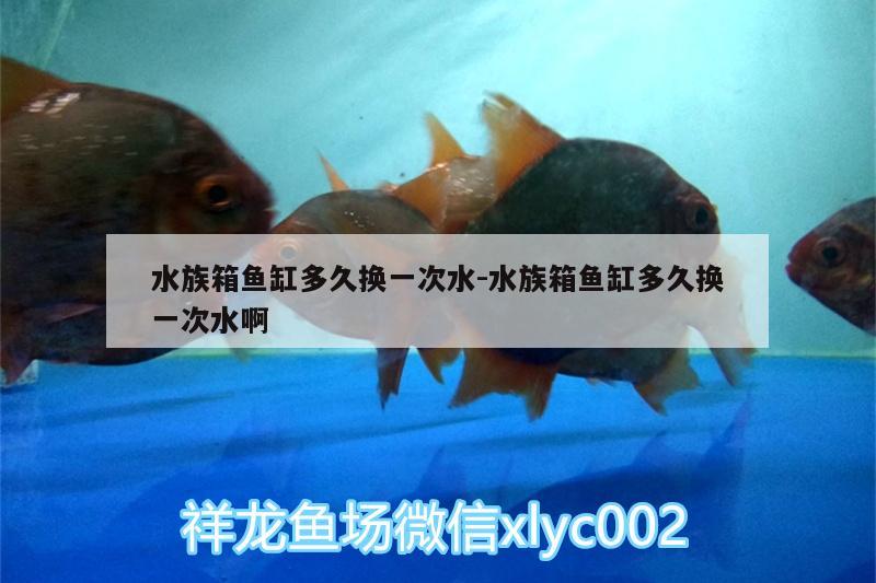 水族箱鱼缸多久换一次水:水族箱鱼缸多久换一次水啊