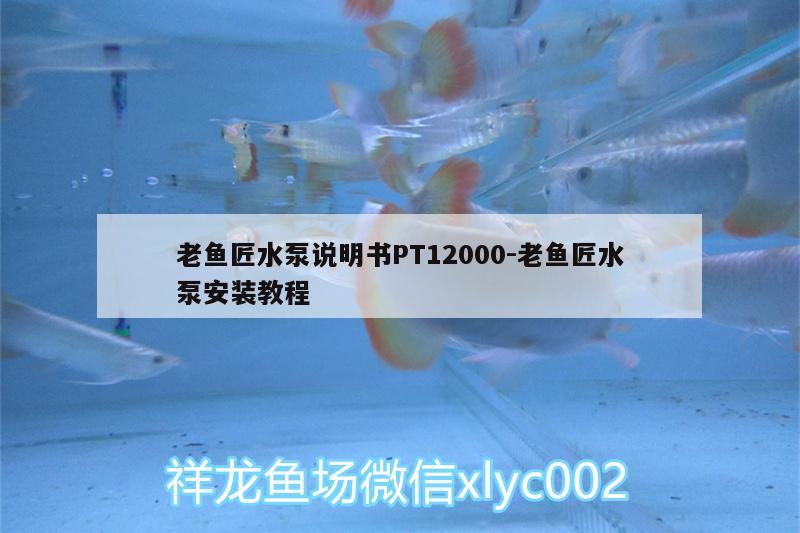 老鱼匠水泵说明书PT12000:老鱼匠水泵安装教程 老鱼匠