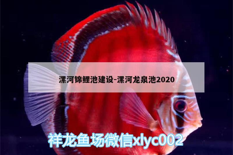 漯河锦鲤池建设:漯河龙泉池2020