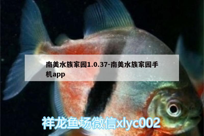 南美水族家园1.0.37:南美水族家园手机app