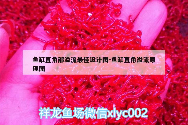 鱼缸直角部溢流最佳设计图:鱼缸直角溢流原理图 红龙专用鱼粮饲料