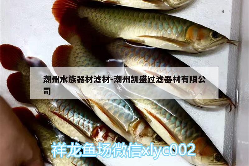 潮州水族器材滤材:潮州凯盛过滤器材有限公司 野彩鱼