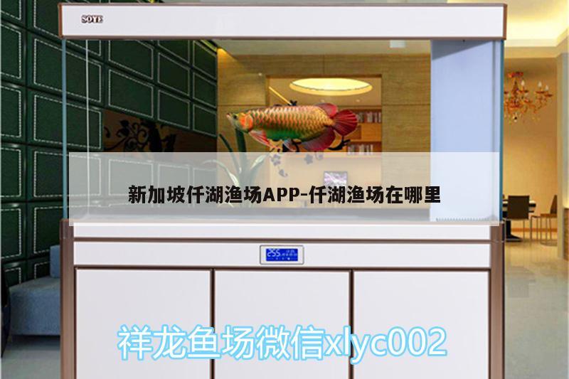 新加坡仟湖渔场APP:仟湖渔场在哪里