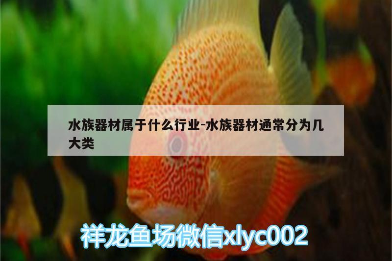 水族器材属于什么行业:水族器材通常分为几大类 鱼缸水泵