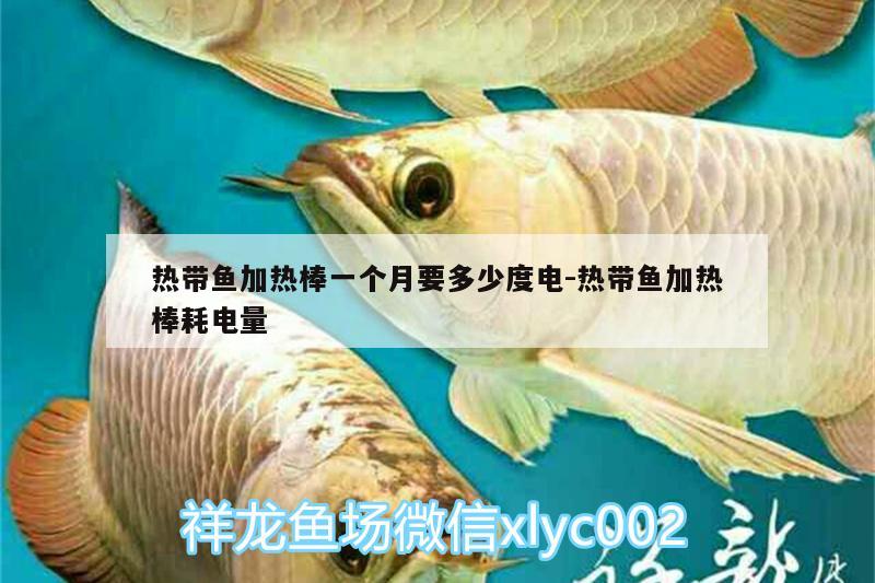 热带鱼加热棒一个月要多少度电:热带鱼加热棒耗电量 水族维护服务（上门）