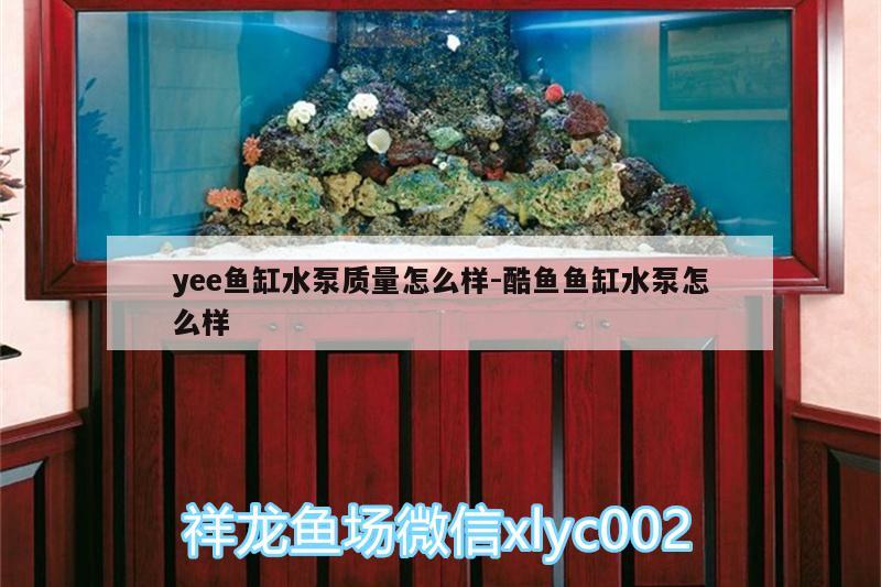 yee鱼缸水泵质量怎么样:酷鱼鱼缸水泵怎么样 yee