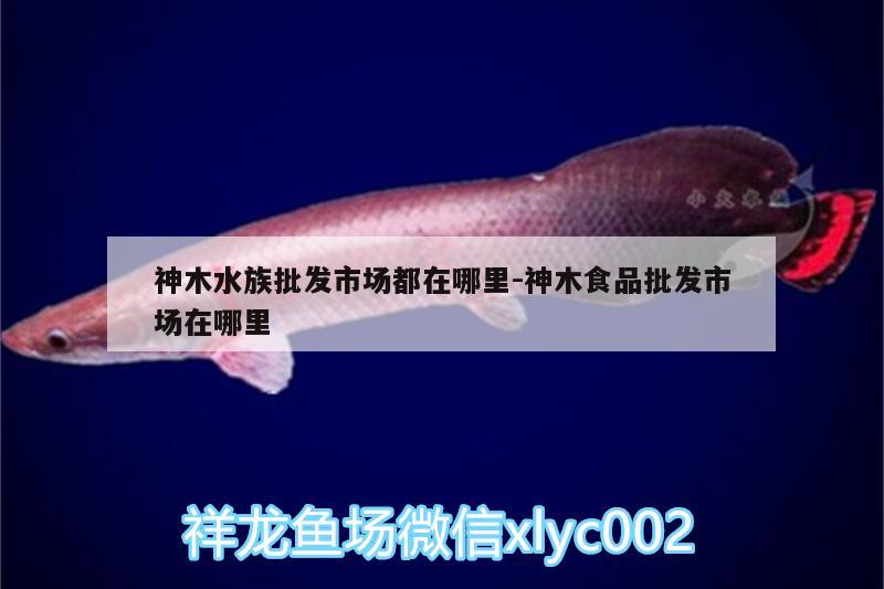 神木水族批发市场都在哪里:神木食品批发市场在哪里 观赏鱼水族批发市场