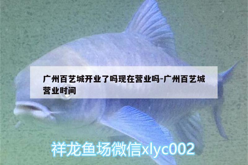 广州百艺城开业了吗现在营业吗:广州百艺城营业时间