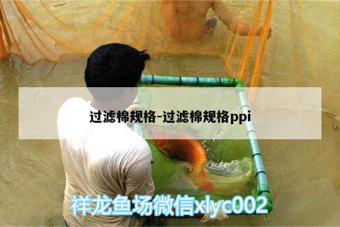 过滤棉规格:过滤棉规格ppi 大湖红龙鱼