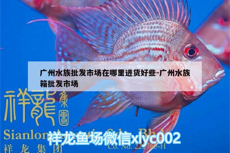 广州水族批发市场在哪里进货好些:广州水族箱批发市场