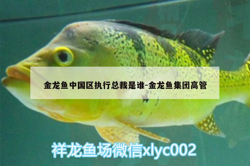 金龙鱼中国区执行总裁是谁:金龙鱼集团高管