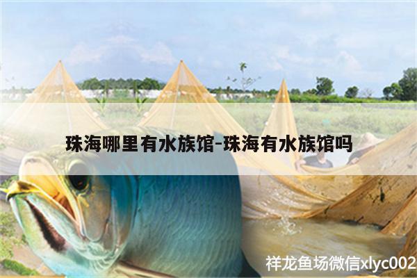 珠海哪里有水族馆:珠海有水族馆吗 龙鱼批发