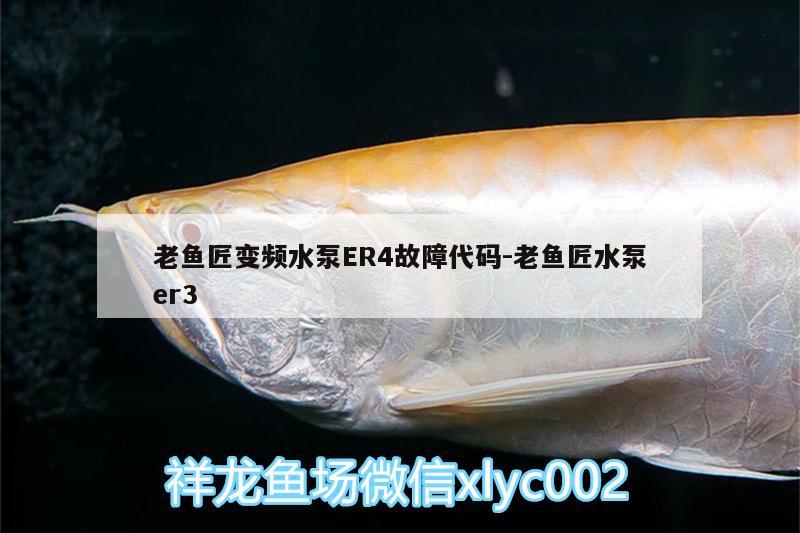 老鱼匠变频水泵ER4故障代码:老鱼匠水泵er3