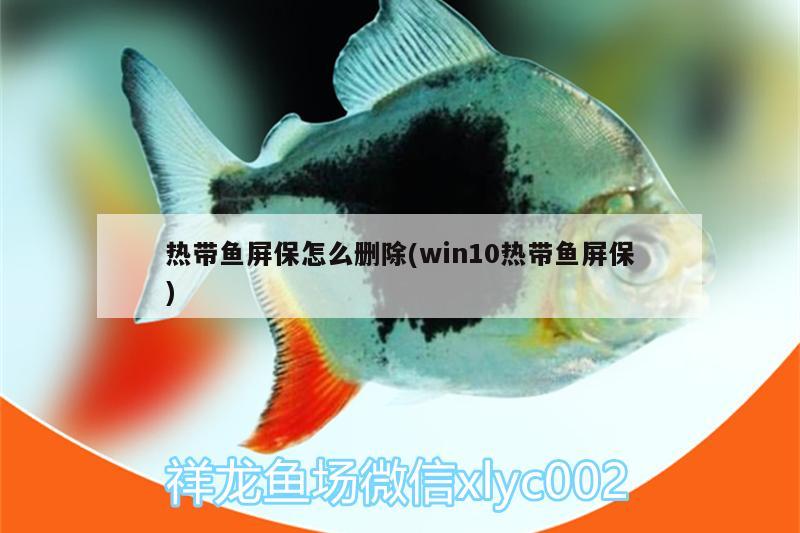 热带鱼屏保怎么删除(win10热带鱼屏保)