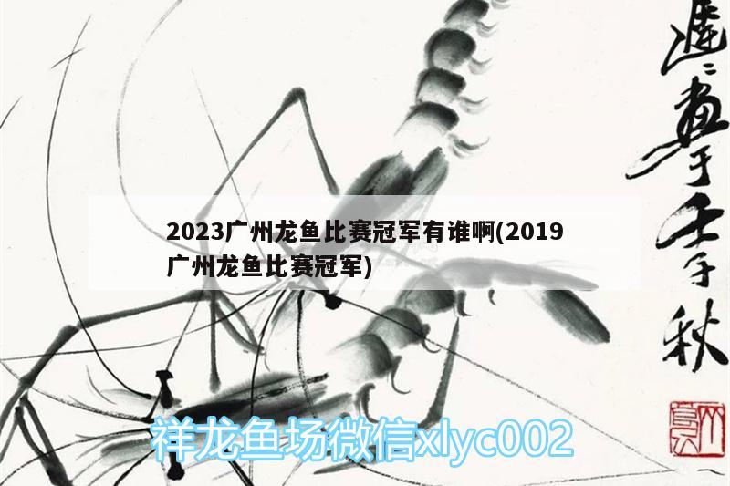 2023广州龙鱼比赛冠军有谁啊(2019广州龙鱼比赛冠军)