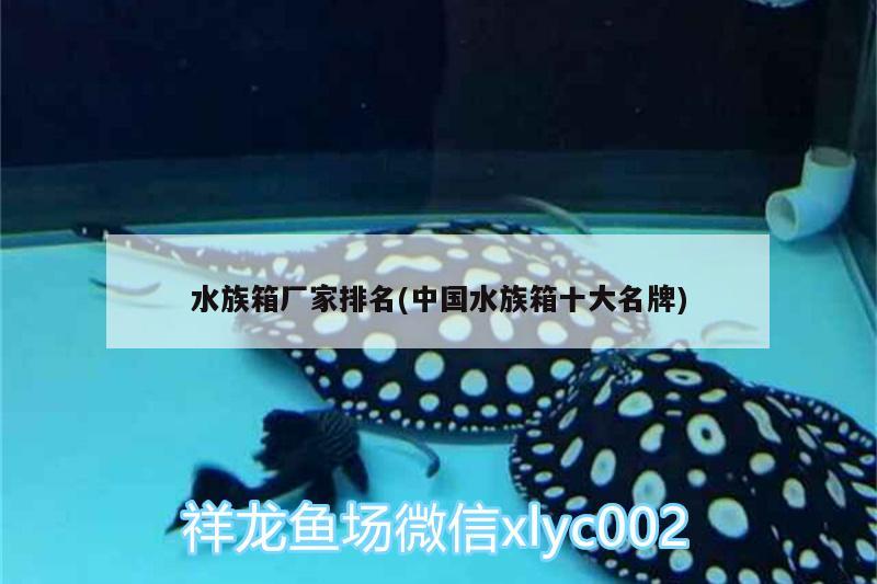 水族箱厂家排名(中国水族箱十大名牌) 鱼缸/水族箱