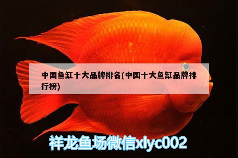 中国鱼缸十大品牌排名(中国十大鱼缸品牌排行榜) 水族用品