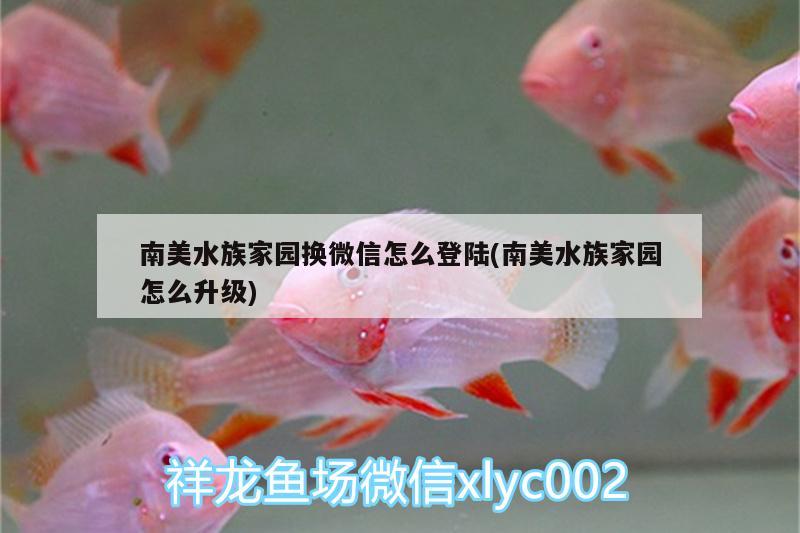 南美水族家园换微信怎么登陆(南美水族家园怎么升级)