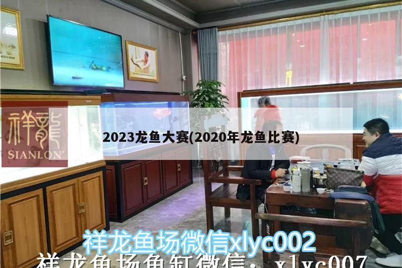 2023龙鱼大赛(2020年龙鱼比赛)