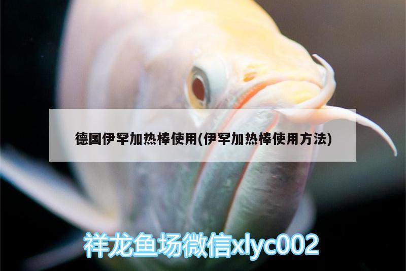 德国伊罕加热棒使用(伊罕加热棒使用方法) 伊罕水族