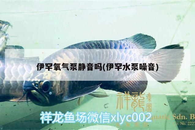 伊罕氧气泵静音吗(伊罕水泵噪音) 伊罕水族 第2张