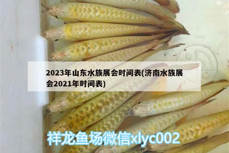 2023年山东水族展会时间表(济南水族展会2021年时间表) 水族展会