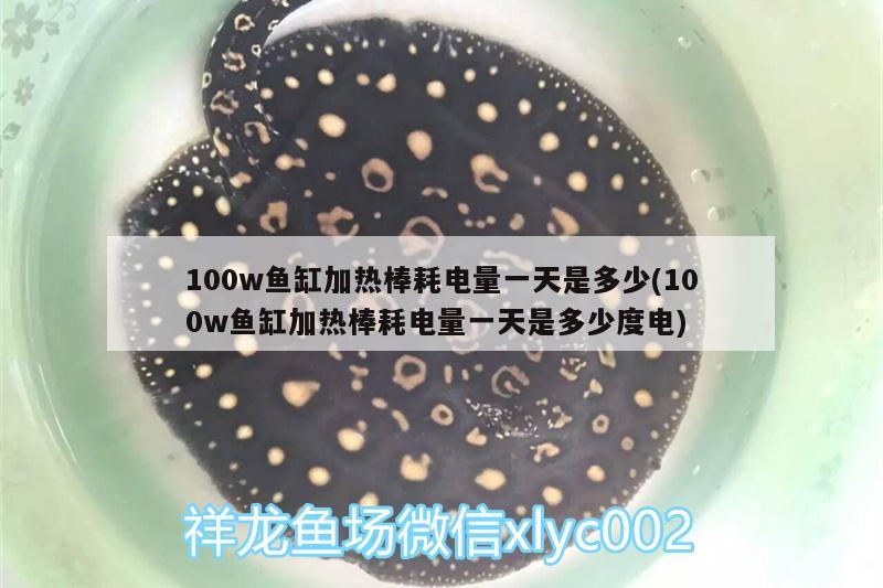 100w鱼缸加热棒耗电量一天是多少(100w鱼缸加热棒耗电量一天是多少度电) 黄金达摩鱼