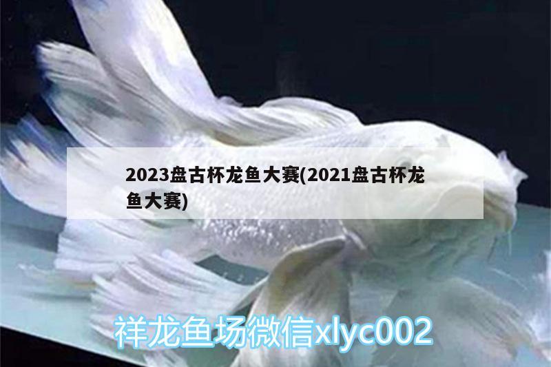 2023盘古杯龙鱼大赛(2021盘古杯龙鱼大赛)