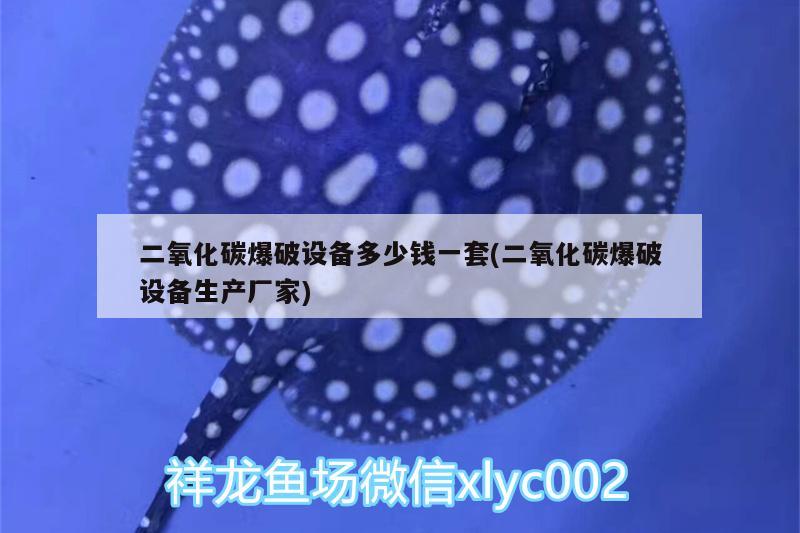 二氧化碳爆破设备多少钱一套(二氧化碳爆破设备生产厂家) 二氧化碳设备