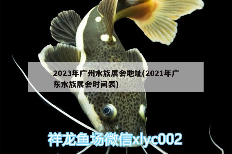 2023年广州水族展会地址(2021年广东水族展会时间表) 水族展会