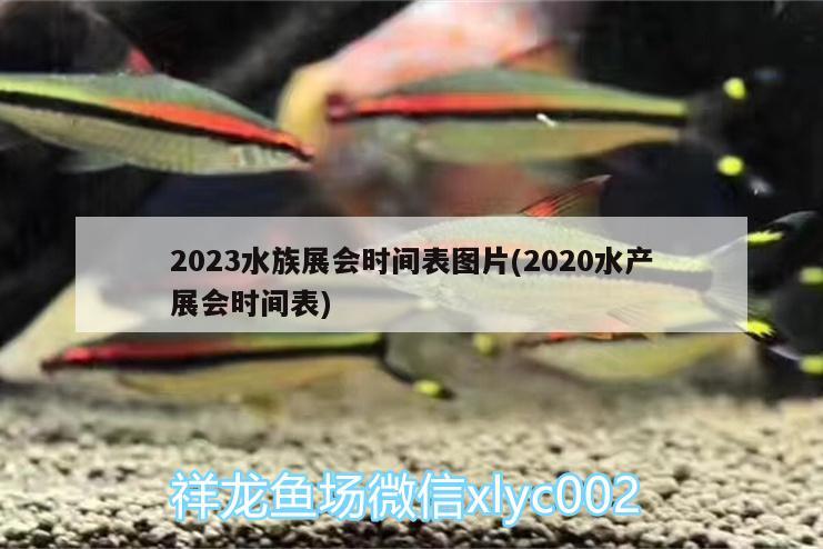 2023水族展会时间表图片(2020水产展会时间表) 水族展会