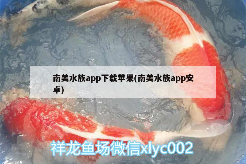 南美水族app下载苹果(南美水族app安卓)