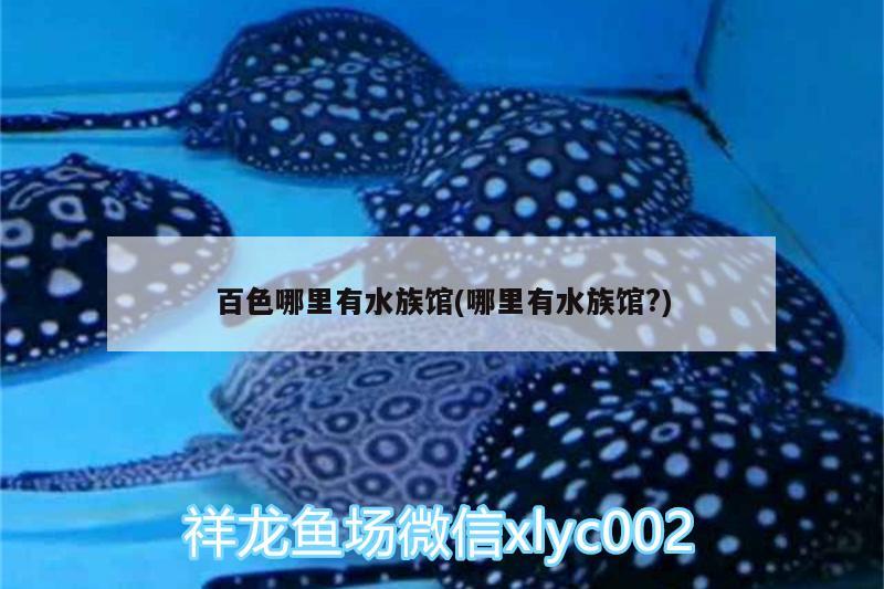 百色哪里有水族馆(哪里有水族馆?) 羽毛刀鱼苗