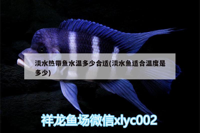 淡水热带鱼水温多少合适(淡水鱼适合温度是多少) 其它水族用具设备