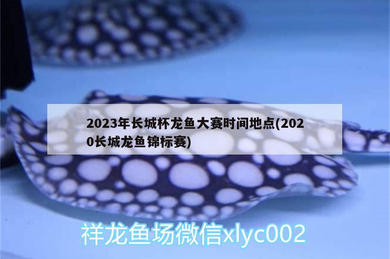 2023年长城杯龙鱼大赛时间地点(2020长城龙鱼锦标赛)